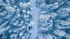 winter