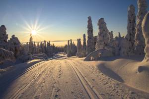 snow